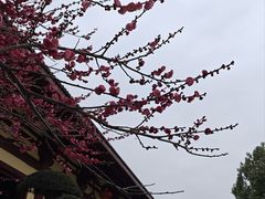 -庐山风景名胜区-东林大佛