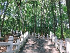 -灵岩山风景区