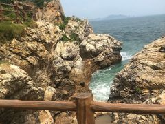 -杨梅坑