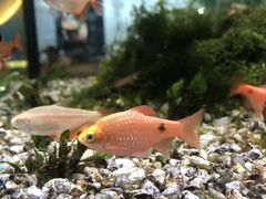 -大家乐(佛山南海店)