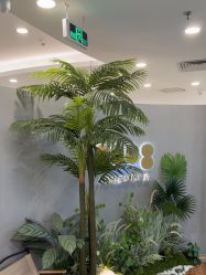 -八佰伴8008星级形象店