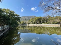 -阿育王寺