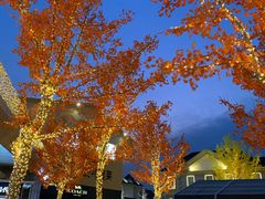 -Max Mara(王府井奥莱·香江小镇店)