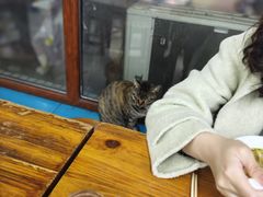 -黄家馄饨(铁心桥店)