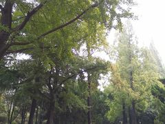 -西苑公园