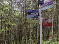 -重庆睡佛山森林公园