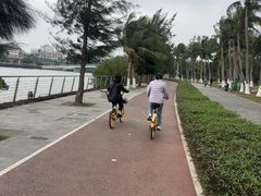 -万绿园