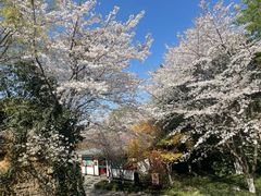 -淹城春秋乐园