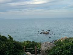 -东澳岛
