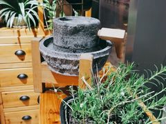 -冰泉豆浆馆(阳朔店)