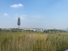 西门进门处拍-成都大熊猫繁育研究基地
