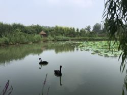 点击看大图 -优沃得自然教育农场·冰雪乐园·生日会·研学