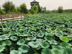 -董永七仙女文化园