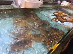 -快乐海鲜城(虎泉街店)