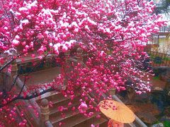 -西安理工大学(金花校区)