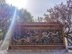 -桃花堤公园
