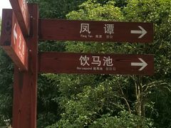 -白马涧龙池景区