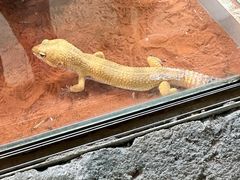 -哈尔滨北方森林动物园