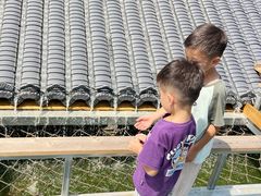 -一品烧农庄·佛山本地特色菜