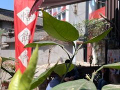 -悟饮门市景店