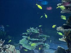 -欢乐海岸海洋奇梦馆