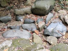 -火炉山森林公园