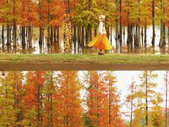 -白鹭湾湿地公园