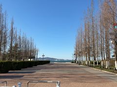 -悦海公园