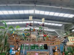 -南宫五洲植物乐园