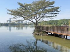 -海珠湖公园