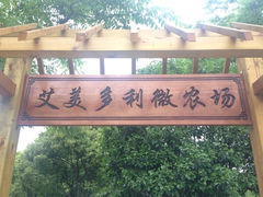 -上海佘山茂御臻品之选酒店(原佘山艾美酒店)