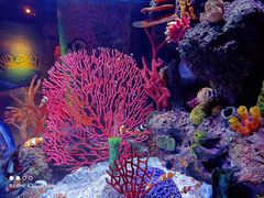 -沈阳海洋探索中心