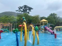 -苏州乐园森林水世界