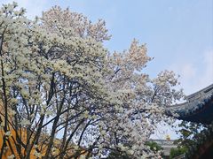 -龙华寺