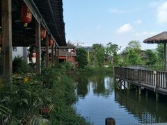 -一煲鸽
