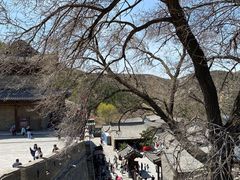 -雁门关景区