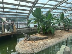 -石家庄市动物园