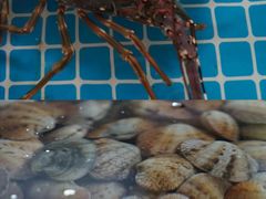 -三亚火车头万人海鲜广场