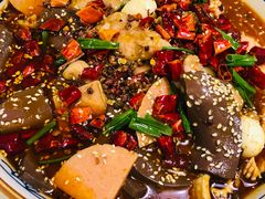 -付掌柜在成都·热炒砂锅集(金禾店)