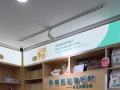 -瑞派长江宠物医院·猫科·外科·24小时夜护(谊城公寓分院)