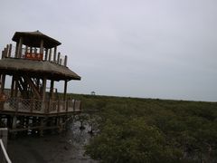 -北海金海湾红树林生态旅游区