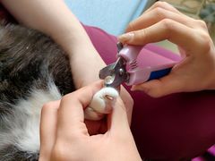 -美联众合动物医院·24h京西诊疗中心