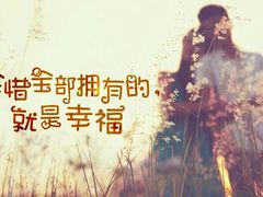 -金棕榈新百世纪影城