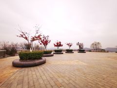-羊山湖公园