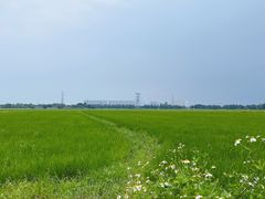 -崖口云吞(中堡店)