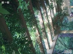 -紫竹院公园冰场