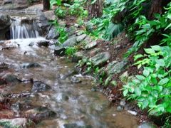 -燕塞湖鸟语林景区