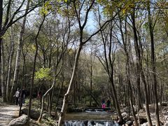 -玉渡山自然风景区