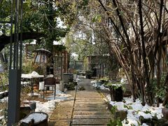 -谷咖啡·鲜花绿植花园餐厅