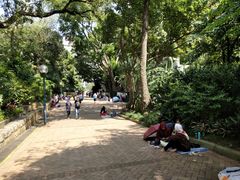 -九龙公园